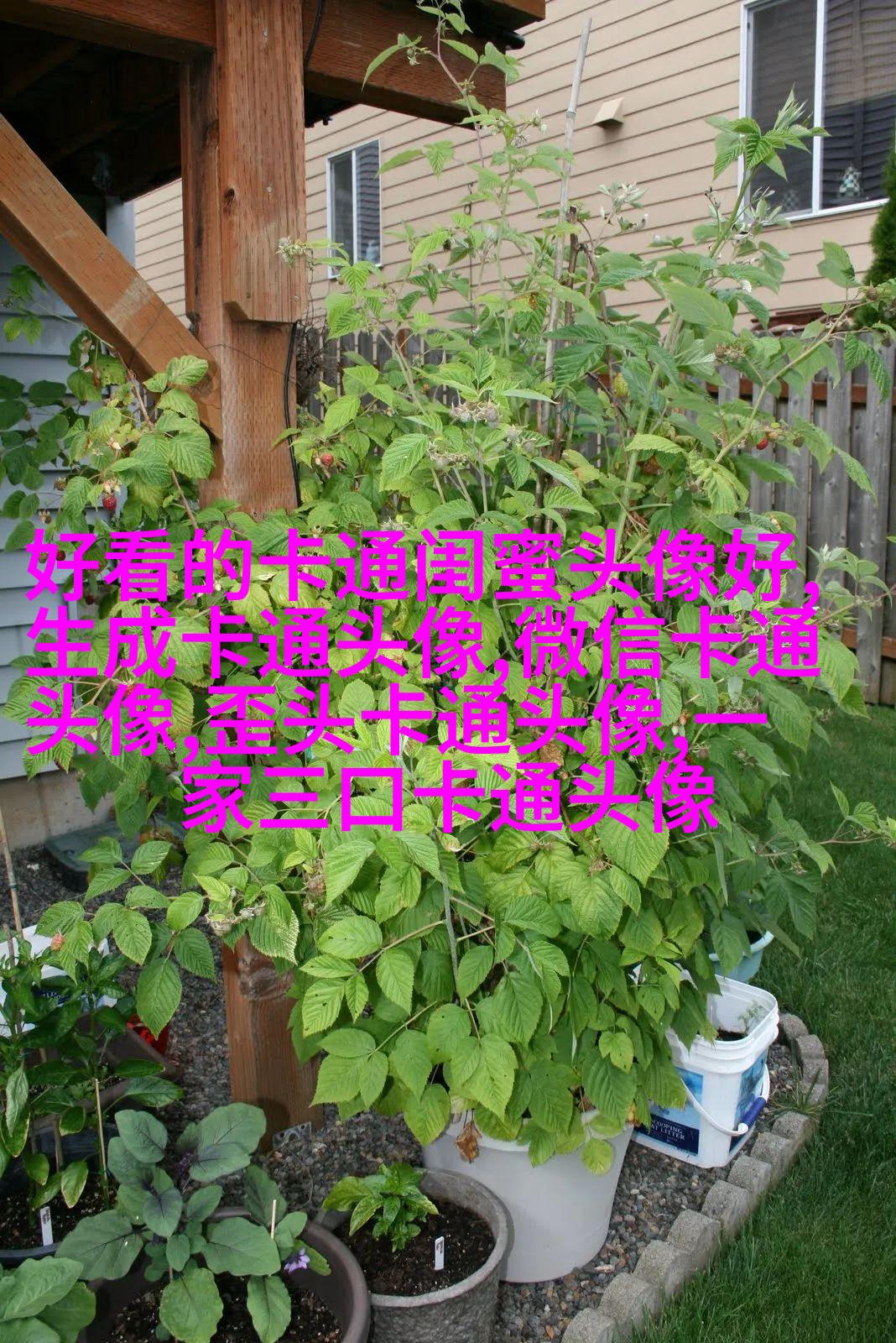 蜡笔小新头像(24张)
