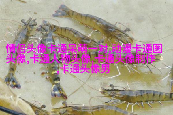 微信动漫情侣头像(精选26张)