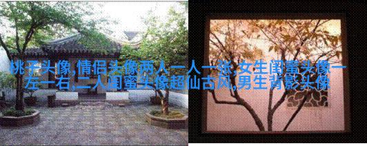 闺蜜头像一左一右森系