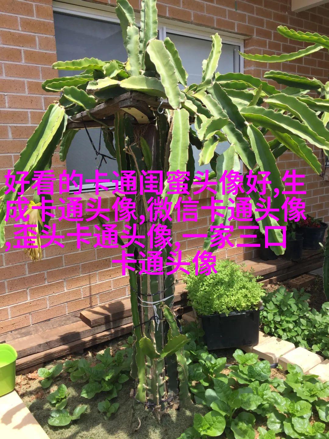 蜡笔小新头像(24张)