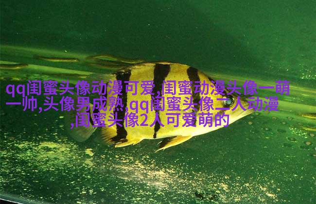 闺蜜头像一对两张霸气带字