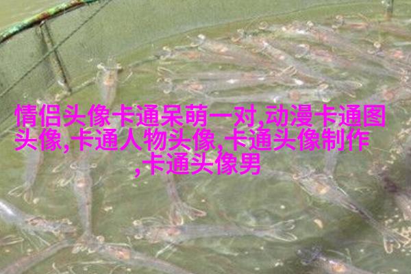 微信动漫情侣头像(精选26张)