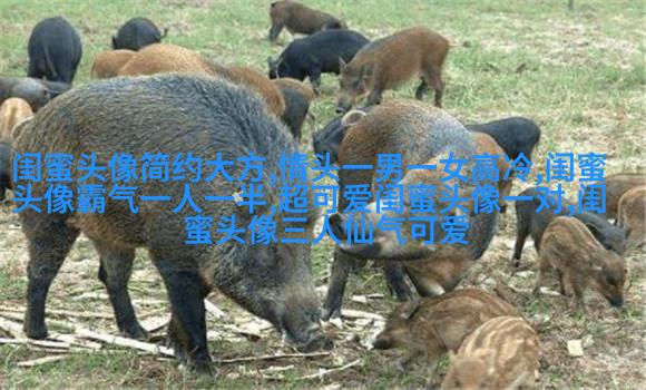 唯美森系闺蜜头像一对