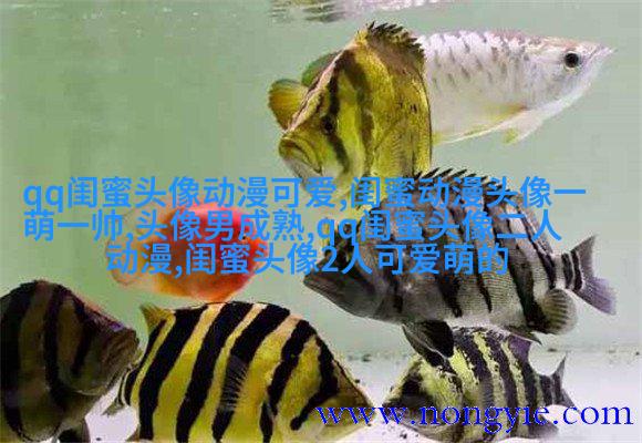 闺蜜头像一对两张霸气带字