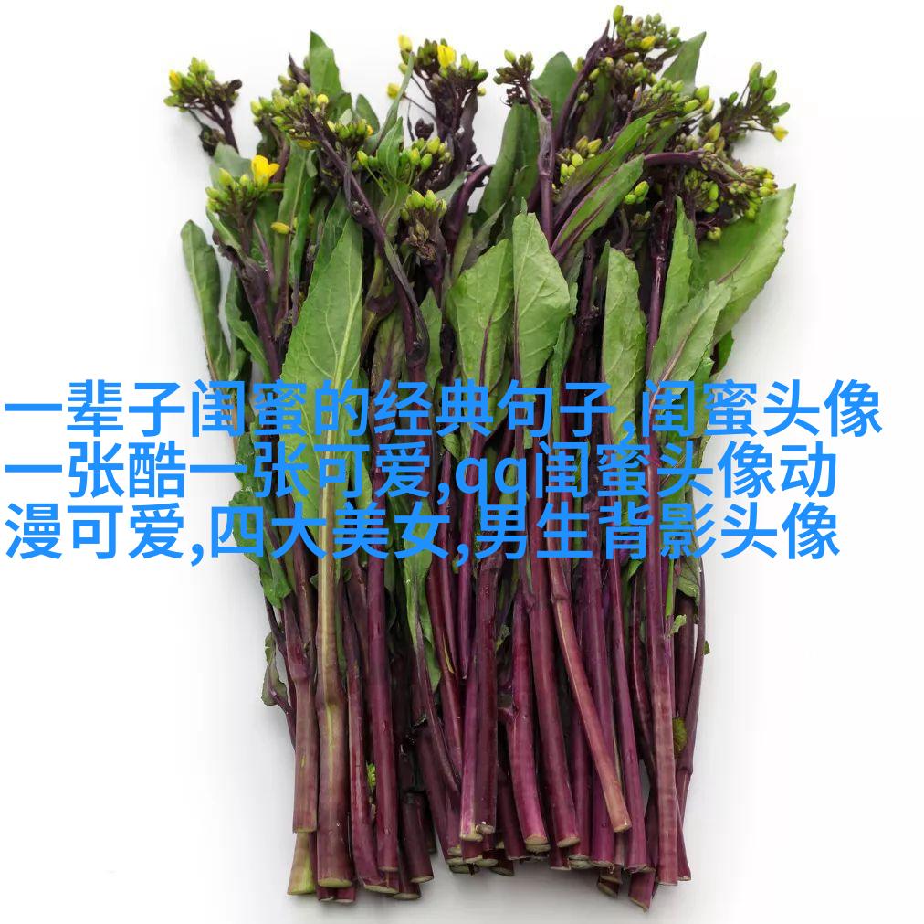 00后闺蜜头像最新版动漫(精选16张)