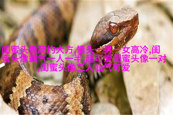 唯美森系闺蜜头像一对