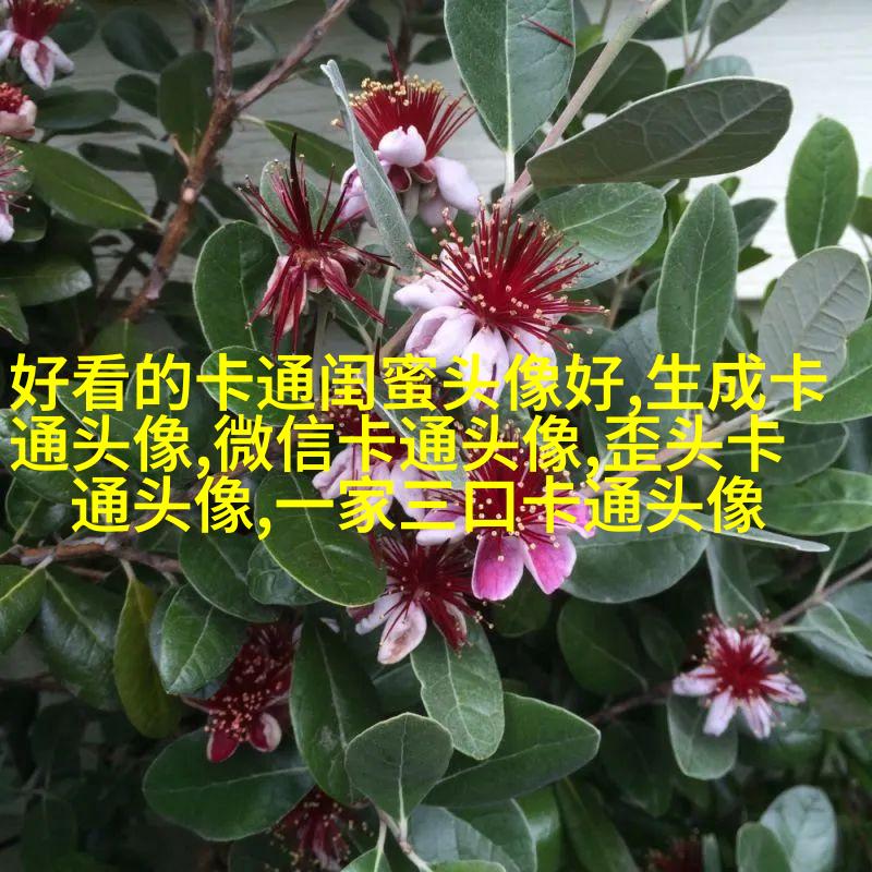 蜡笔小新头像(24张)