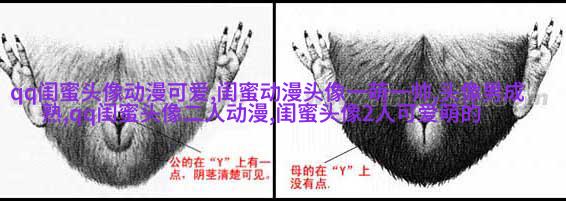 闺蜜头像一对两张霸气带字