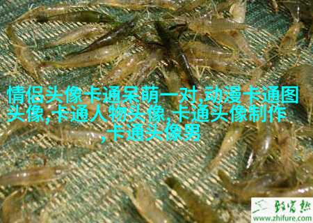 微信动漫情侣头像(精选26张)