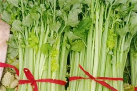 2023带来好运的微信头像简单(22张)