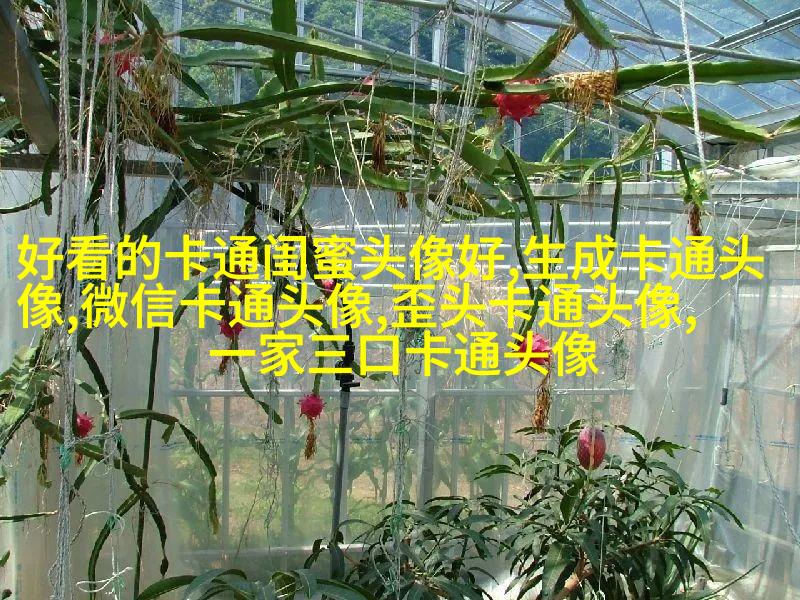 蜡笔小新头像(24张)