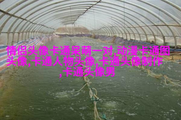微信动漫情侣头像(精选26张)