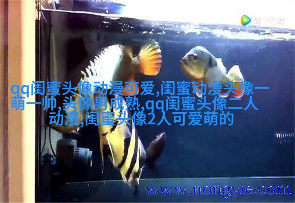 闺蜜头像一对两张霸气带字