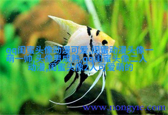 闺蜜头像一对两张霸气带字