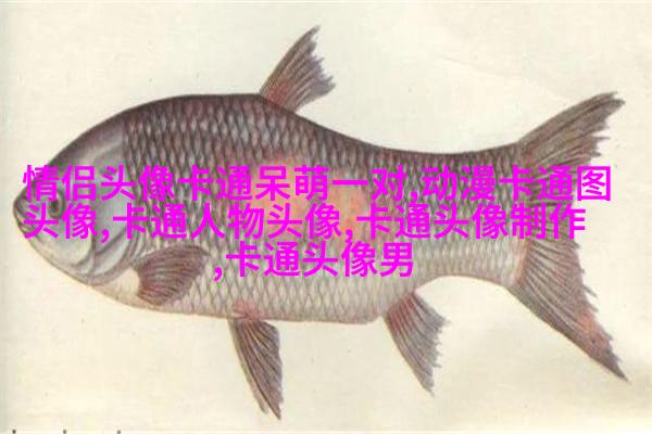 微信动漫情侣头像(精选26张)