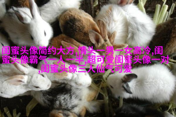 唯美森系闺蜜头像一对