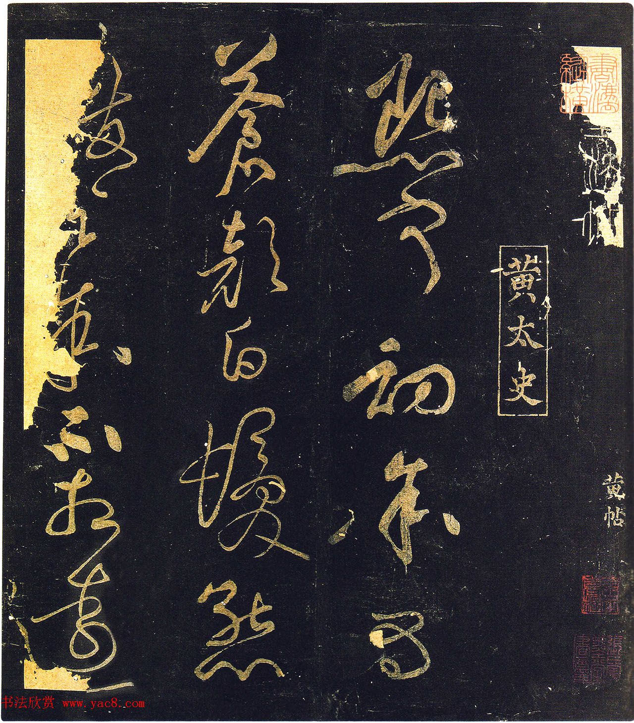 欧美小萝莉qq头像