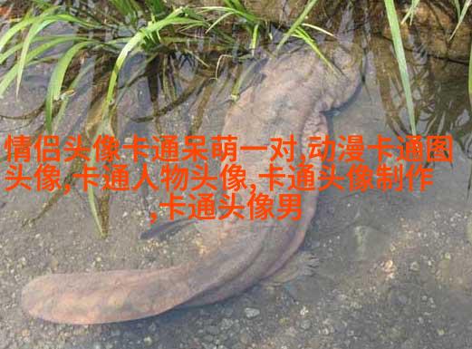 微信动漫情侣头像(精选26张)
