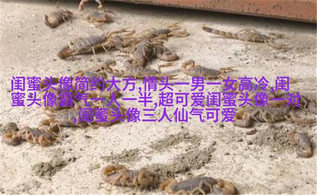 唯美森系闺蜜头像一对
