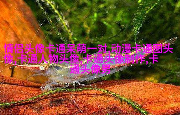 微信动漫情侣头像(精选26张)