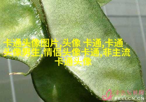 2023年女生头像抖音网红(精选18张)