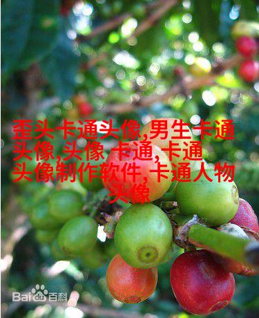 时尚情侣头像