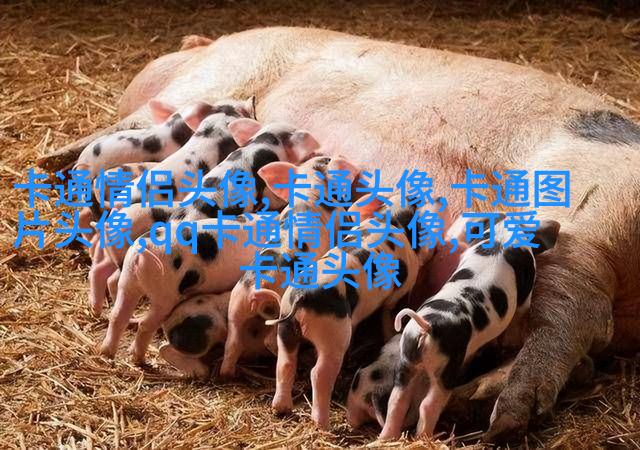 qq头像樱桃小丸子