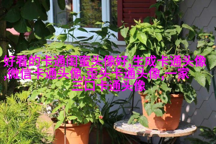 蜡笔小新头像(24张)
