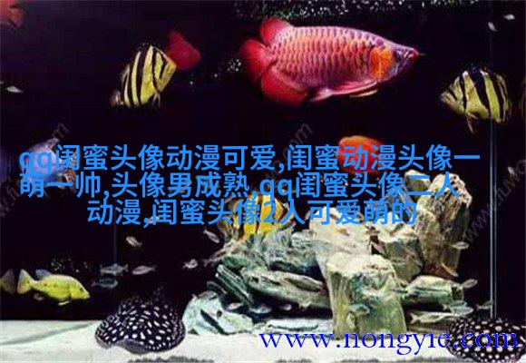 闺蜜头像一对两张霸气带字