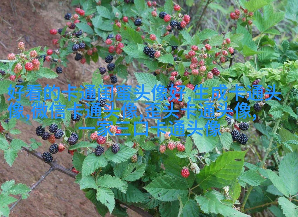 蜡笔小新头像(24张)