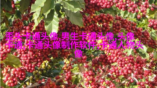 时尚情侣头像