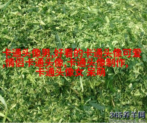 呆萌可爱女头动漫二次元高清图片(18张)