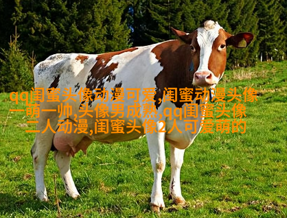 闺蜜头像一对两张霸气带字