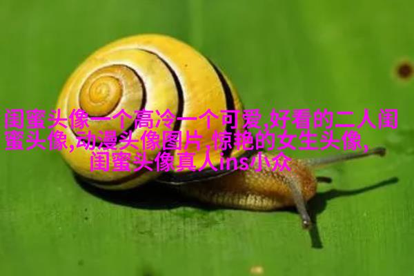 清新可爱的两闺蜜头像