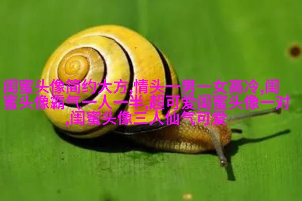 唯美森系闺蜜头像一对