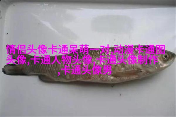微信动漫情侣头像(精选26张)