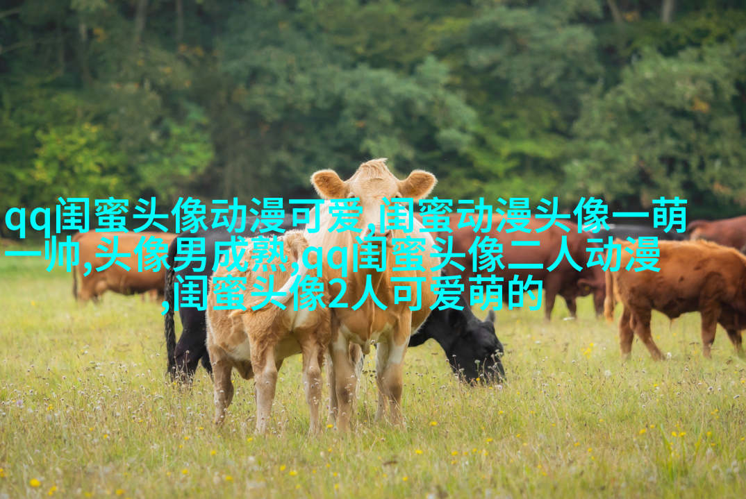 闺蜜头像一对两张霸气带字